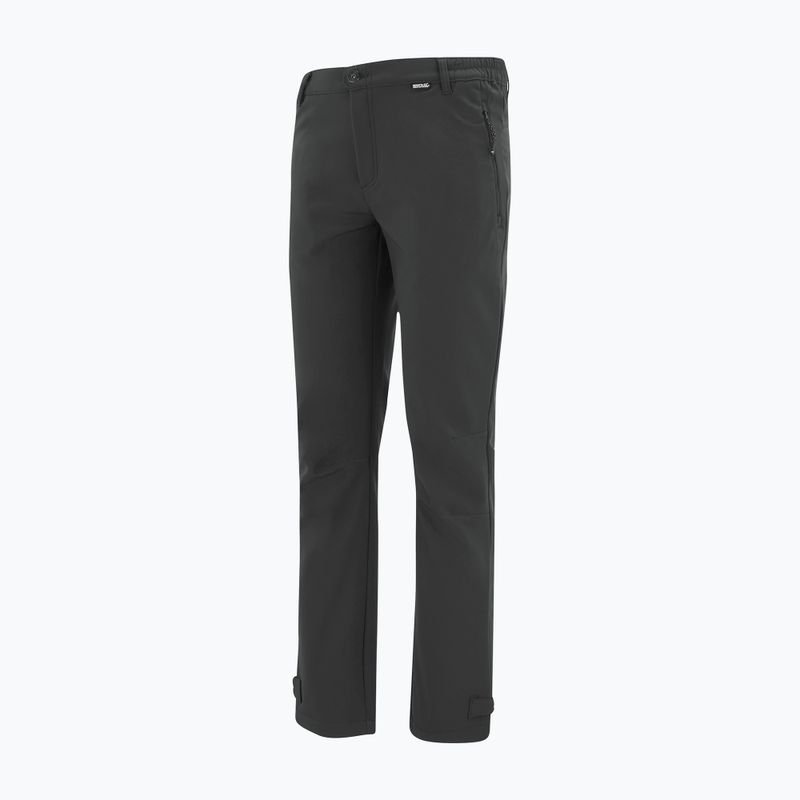Pantaloni softshell da uomo REGATTA Geo Softshell ash 9