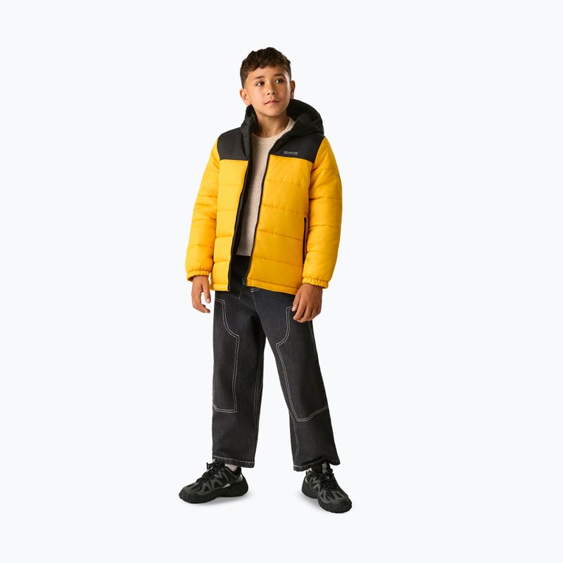 Giacca imbottita per bambini REGATTA Lofthouse black/mustard 2