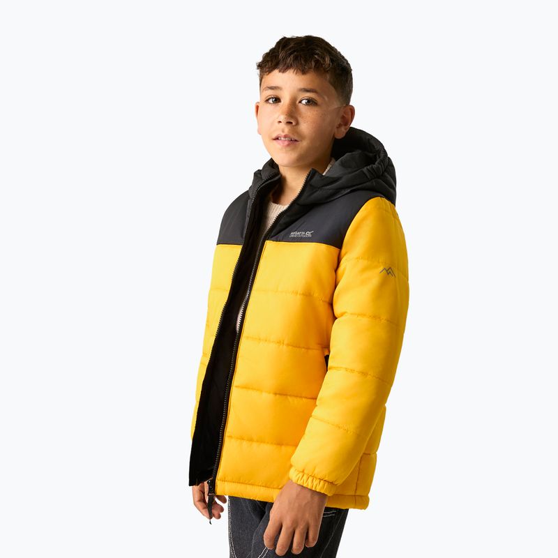 Giacca imbottita per bambini REGATTA Lofthouse black/mustard 5