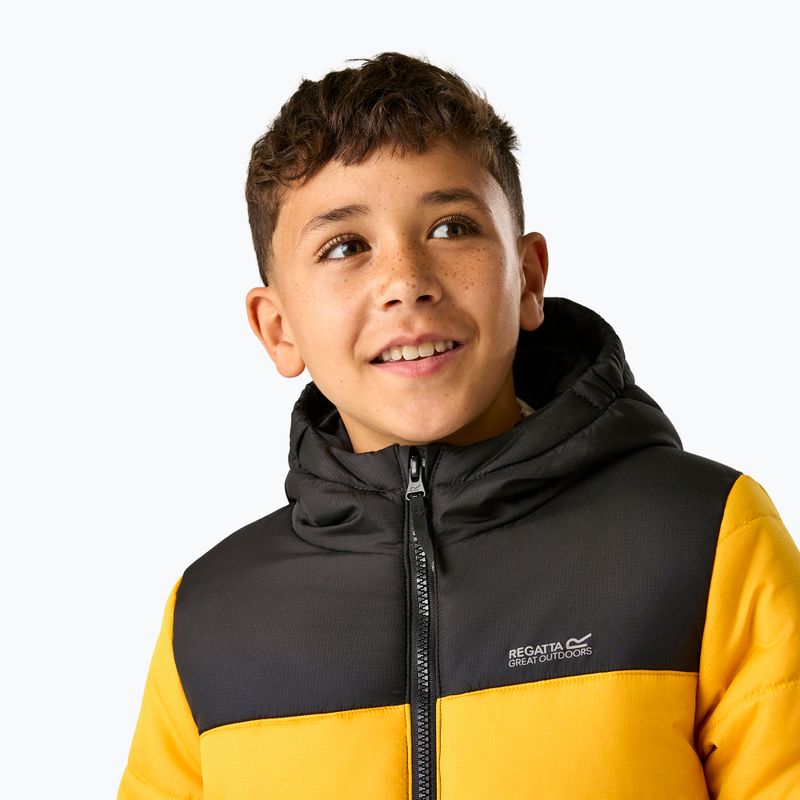 Giacca imbottita per bambini REGATTA Lofthouse black/mustard 7
