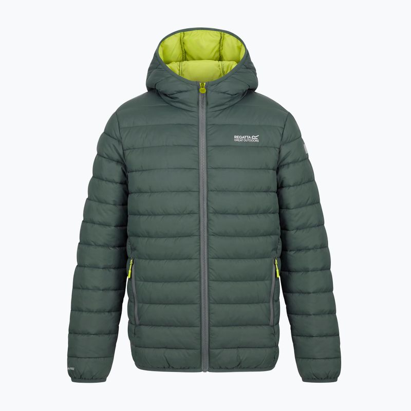 Giacca imbottita per bambini REGATTA Lofthouse dark forest green/wild lime 13