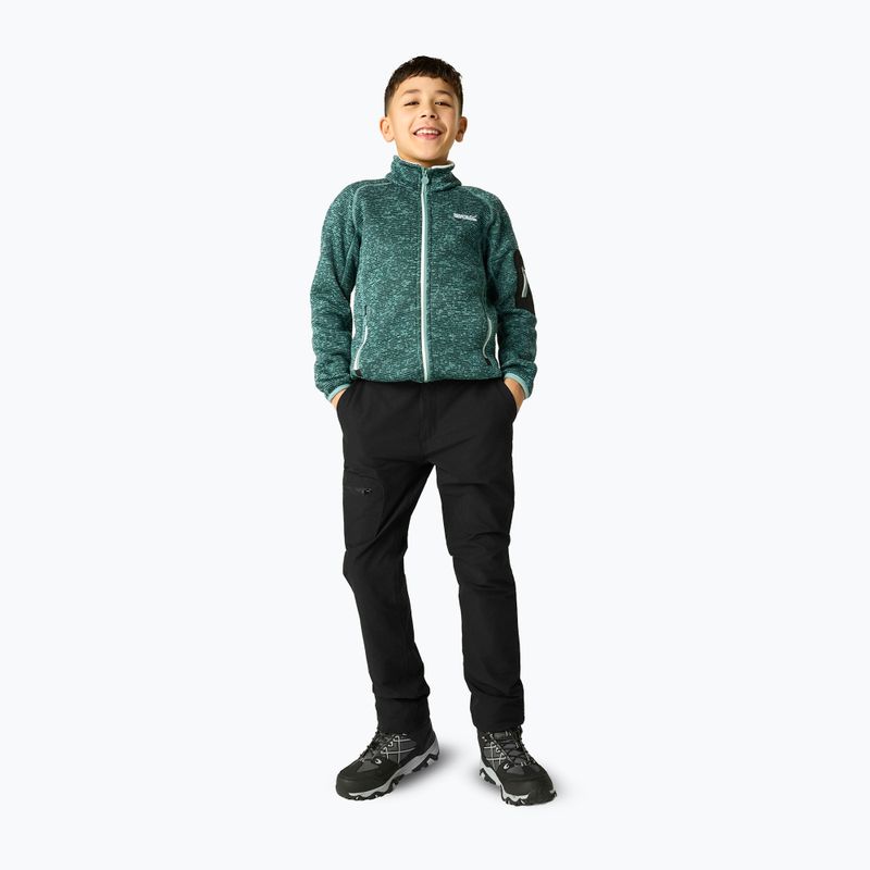 Pantaloni da trekking per bambini REGATTA Highton Winter RKJ175 black 5