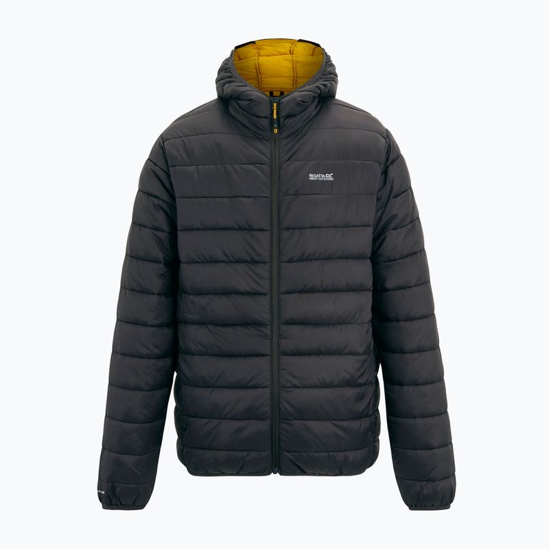 Piumino uomo Regatta Hooded Marizion ash/sunset