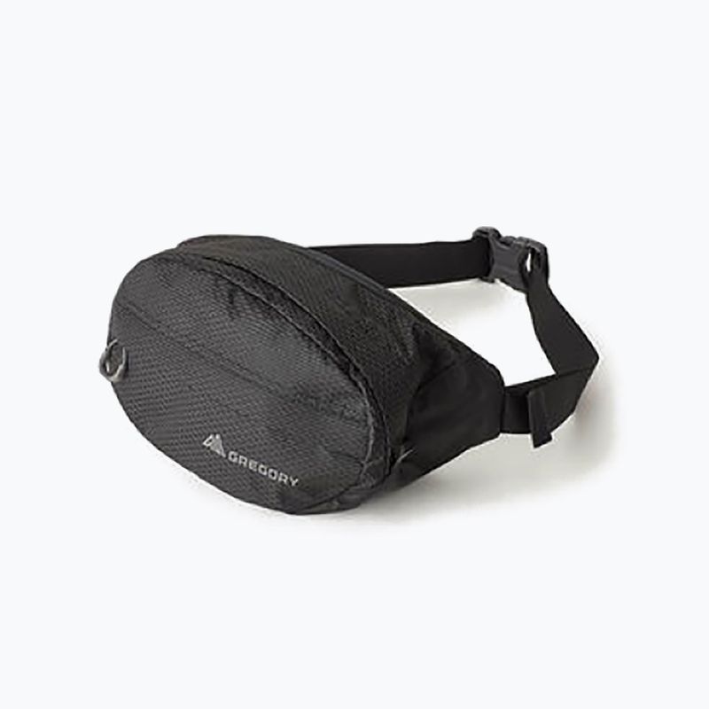 Gregory Nano Waistpack, marsupio nero ossidiana 9