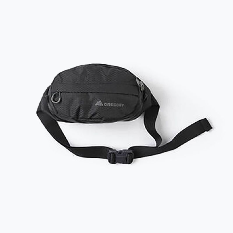 Gregory Nano Waistpack, marsupio nero ossidiana 11