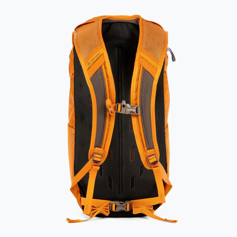 Gregory Nano 18 l zaino ambra bruciato 3