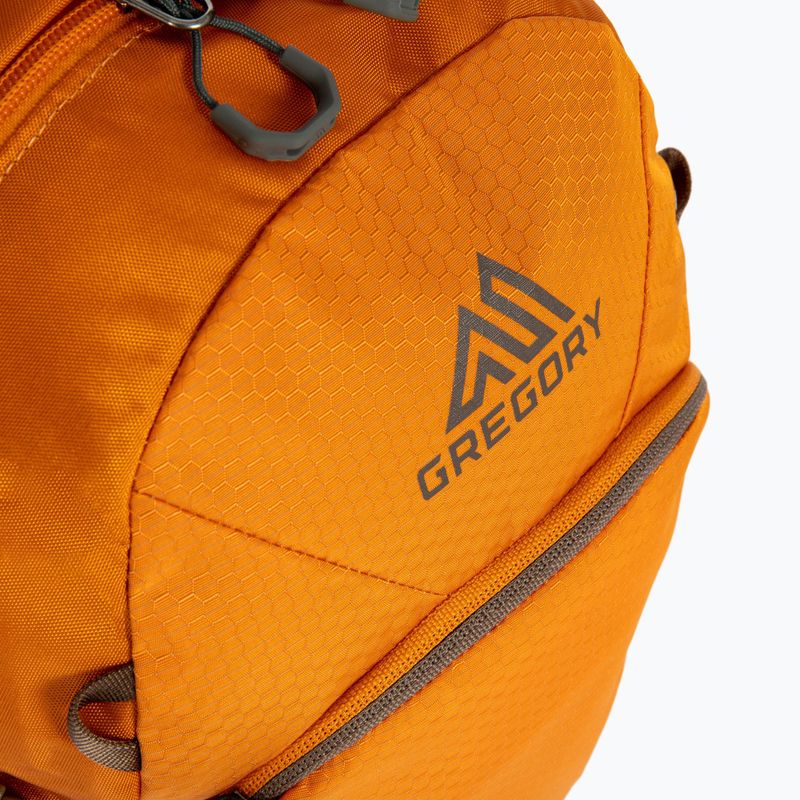 Gregory Nano 18 l zaino ambra bruciato 4