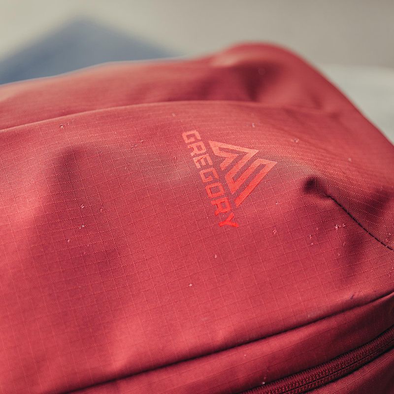 Zaino da trekking Gregory Rhune 22 l rosso mattone 10