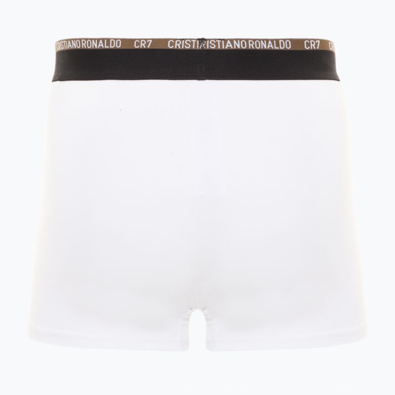 Boxer da uomo CR7 Basic Trunk 10 paia multicolore 5