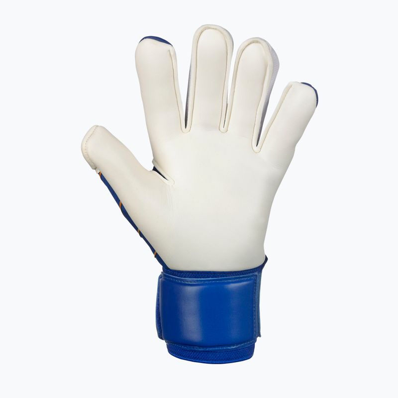 SELECT 55 Guanti da portiere Extra Force v24 blu/bianco 3