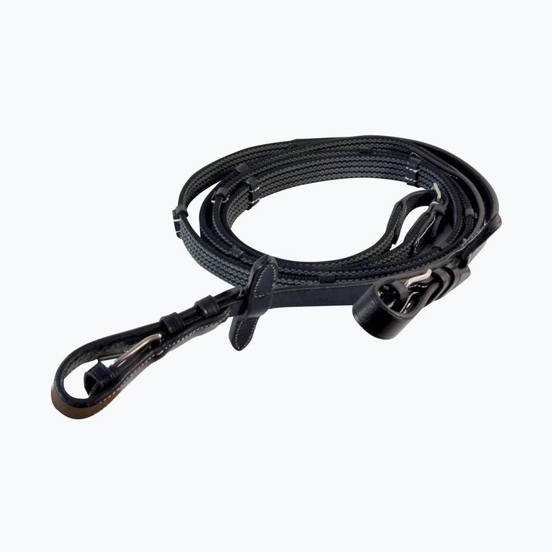 Il cavallo York Brighton conduce il nero