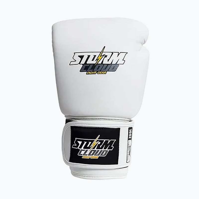 Guantoni da boxe StormCloud Blizzard white/black 2