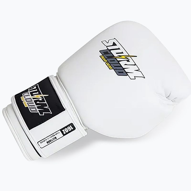 Guantoni da boxe StormCloud Blizzard white/black 5
