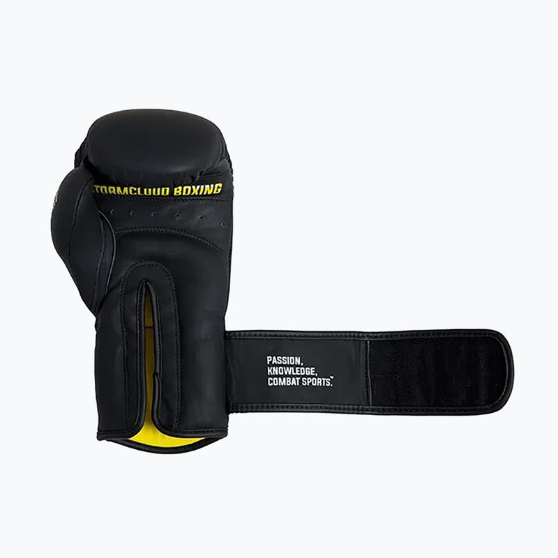 Guantoni da boxe StormCloud Boxing Pro black 6