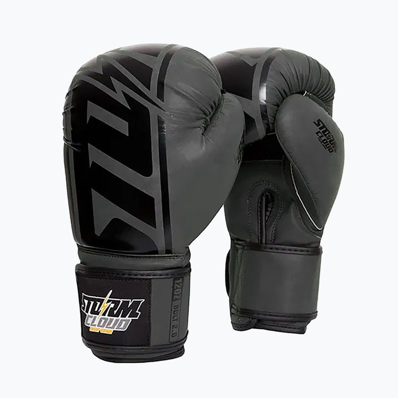 Guantoni da boxe StormCloud Bolt 2 2