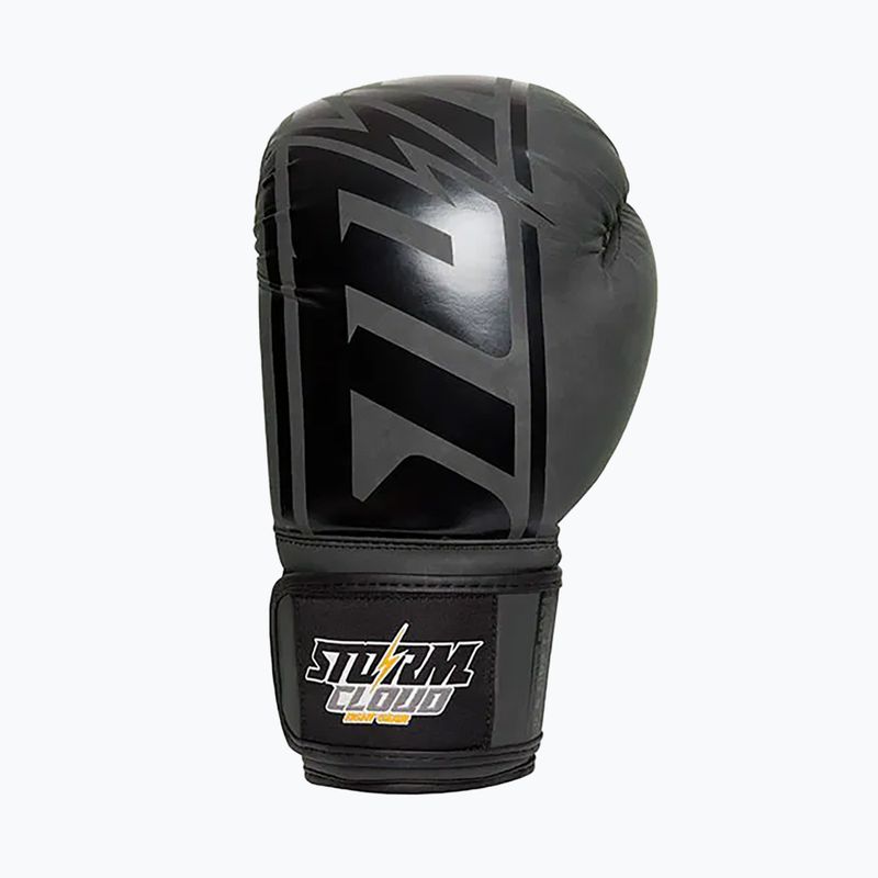 Guantoni da boxe StormCloud Bolt 2 3