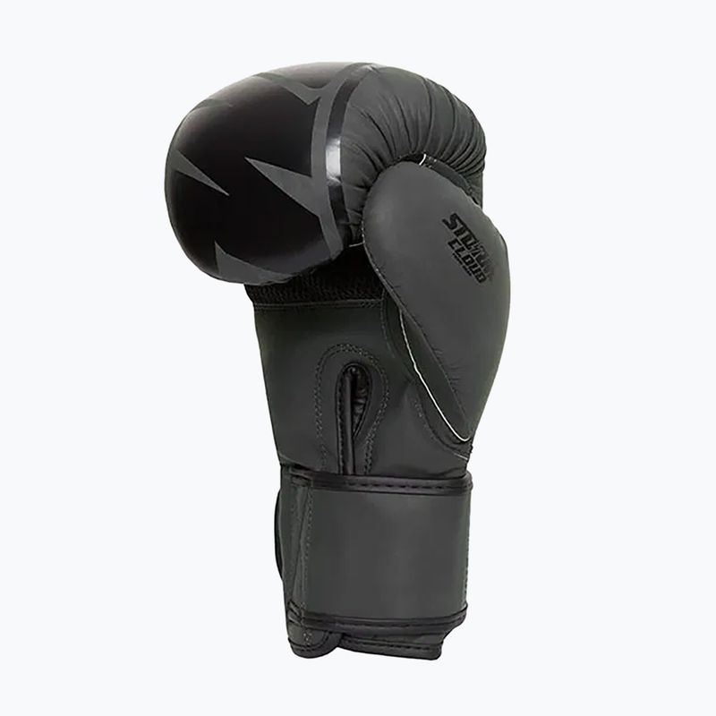 Guantoni da boxe StormCloud Bolt 2 5