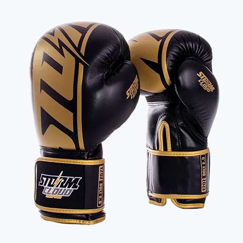 Guantoni da boxe StormCloud Bolt 2 2