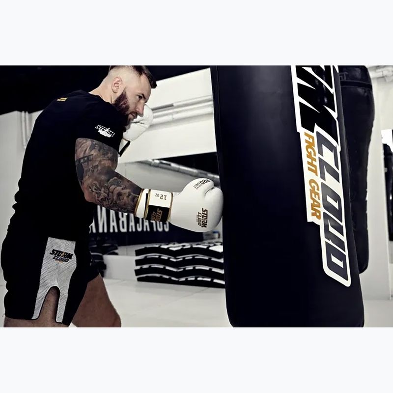 Guantoni da boxe StormCloud Boxing Pro white/gold 11