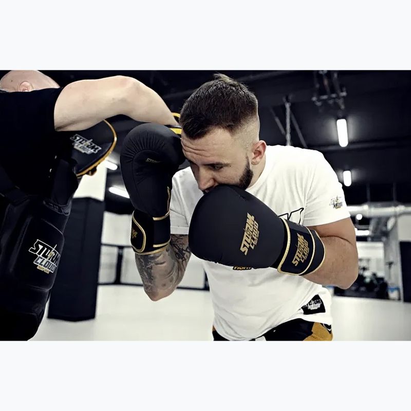 Guantoni da boxe StormCloud Boxing Pro black/gold 13