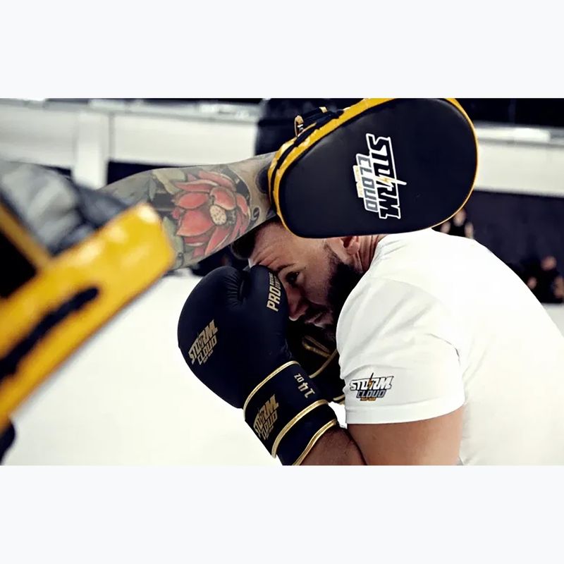 Guantoni da boxe StormCloud Boxing Pro black/gold 14