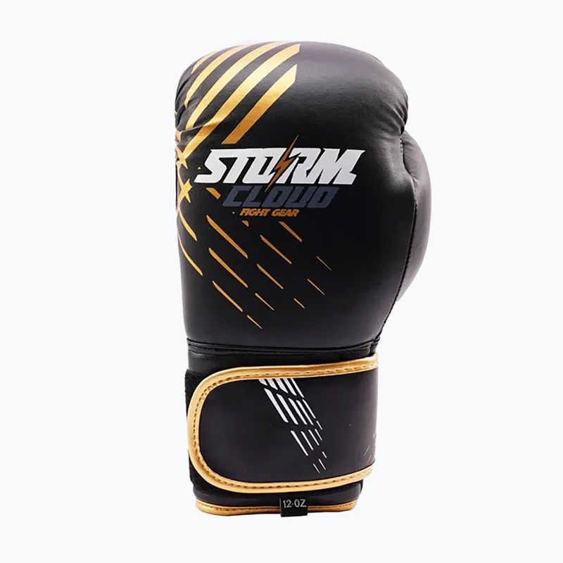 Guantoni da boxe StormCloud Lynx black/gold 2