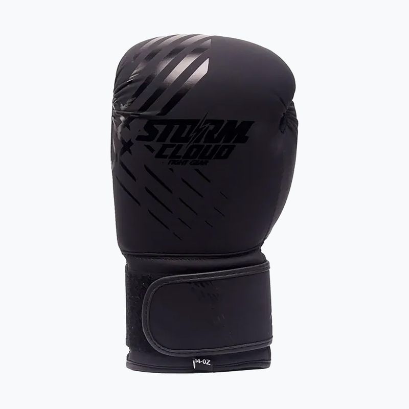 Guantoni da boxe StormCloud Lynx black/black 2