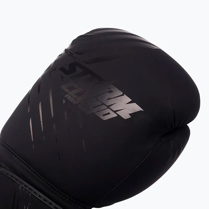 Guantoni da boxe StormCloud Lynx black/black 4
