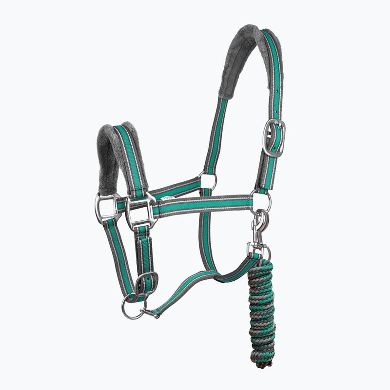 Cavezza per cavalli York Calipso grigio/verde con legatura