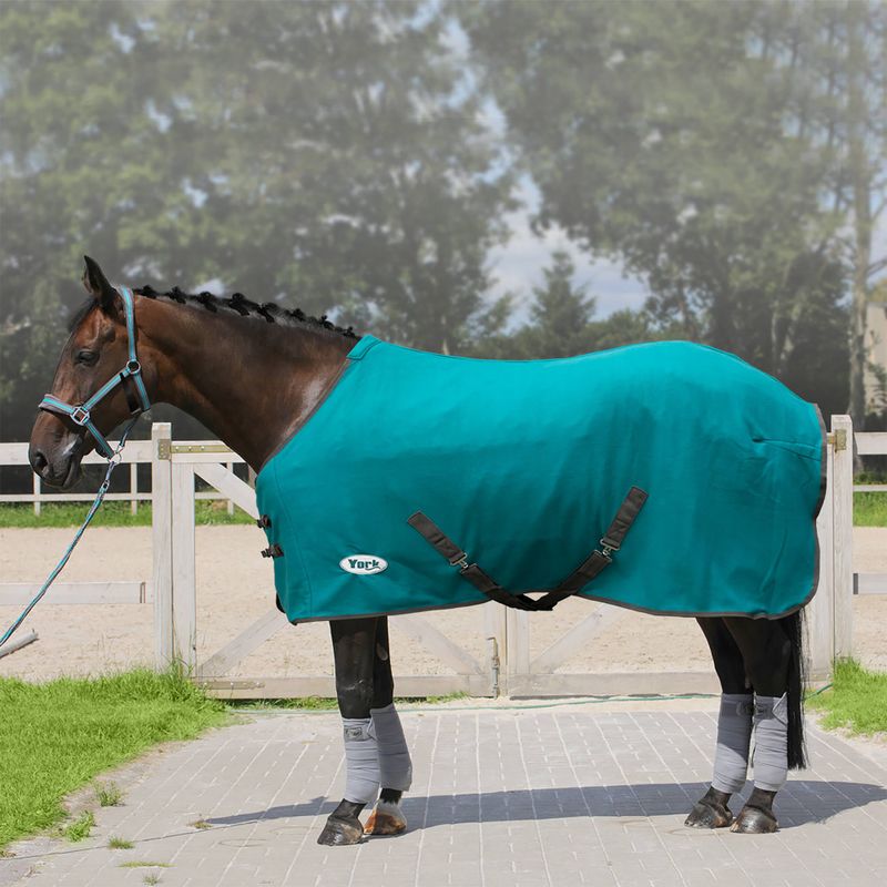 York Ekona coperta in pile a righe turchesi/grigie per cavalli