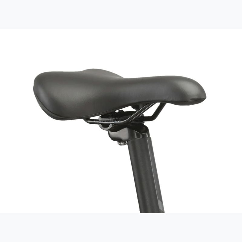 Bicicletta da montagna KROSS Hexagon 4.0 EQ 29" silver/green/gloss 12