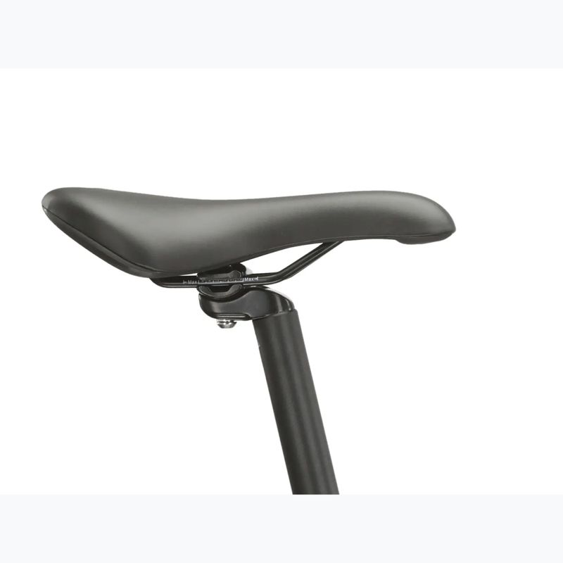 Bicicletta da montagna KROSS Hexagon 4.0 EQ 29" silver/green/gloss 13