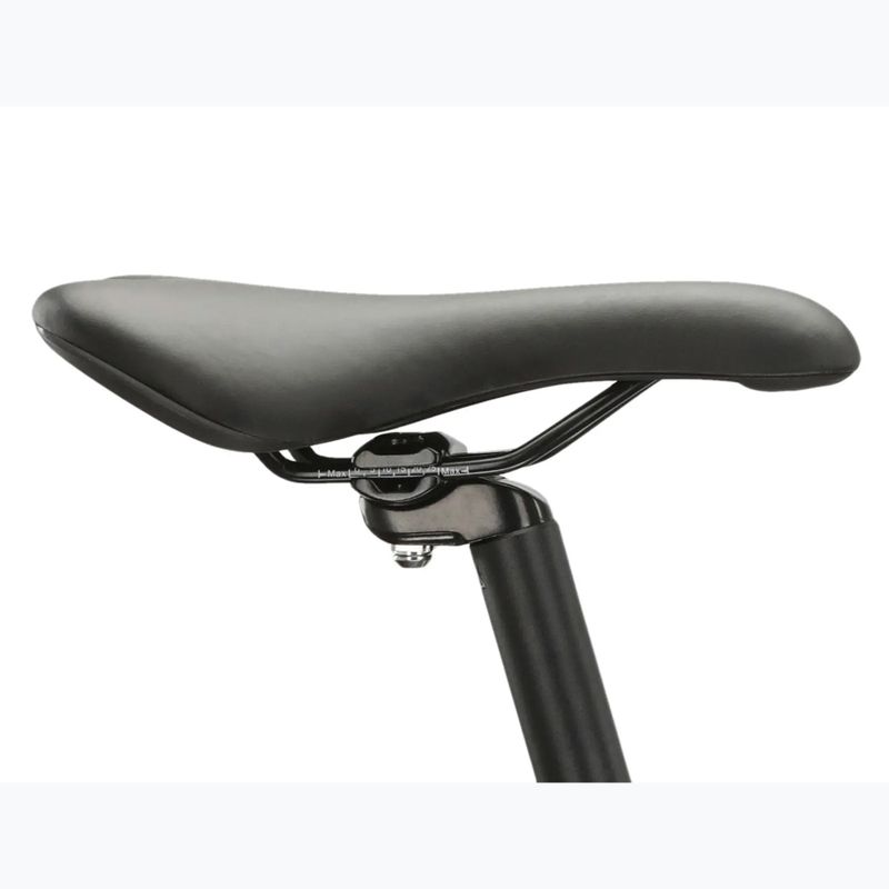 Bicicletta da montagna KROSS Hexagon 4.0 EQ 29" green/silver/gloss 13