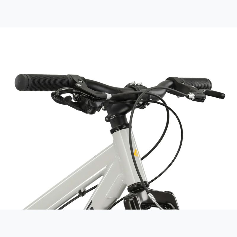 Bicicletta per bambini KROSS Dust Jr 1.0 grey/black/gloss 4