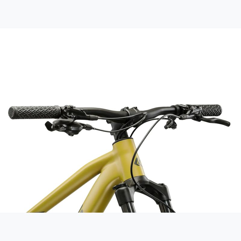 Bicicletta da montagna KROSS Level 6.0 brown/graphite/matte 4
