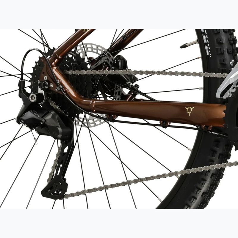 Bicicletta da montagna KROSS Hexagon 5.0 29" brown/gold/gloss 8