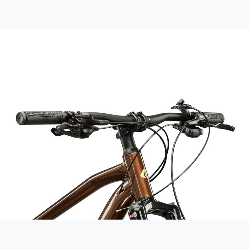 Bicicletta da montagna KROSS Hexagon 5.0 27.5" brown/gold/gloss 4