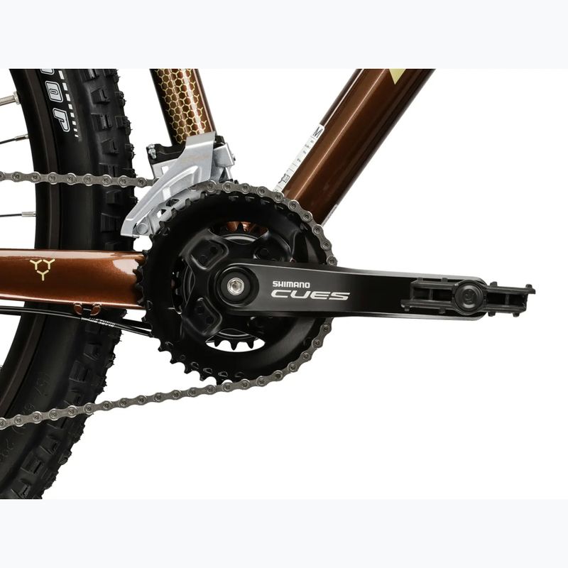 Bicicletta da montagna KROSS Hexagon 5.0 27.5" brown/gold/gloss 10