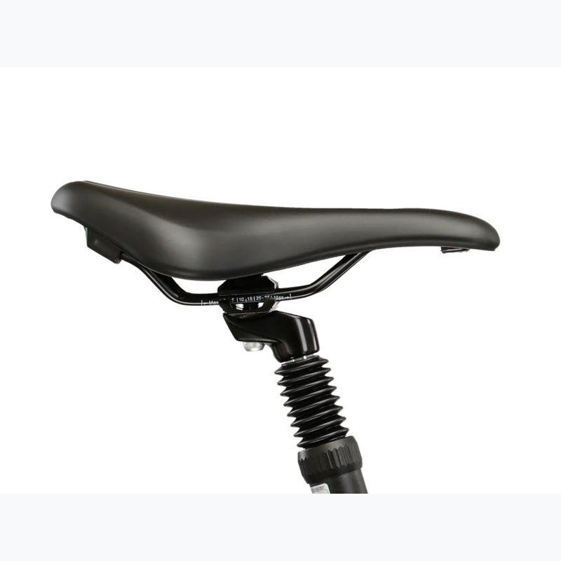 Bicicletta cross da donna KROSS Evado 3.0 In grey/green/gloss 12