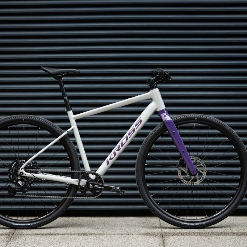Bicicletta gravel KROSS Esker 1.0 FL grey/purple/gloss 13