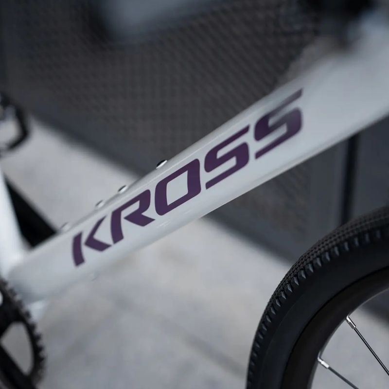 Bicicletta gravel KROSS Esker 1.0 FL grey/purple/gloss 14