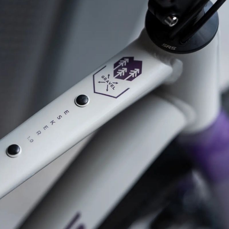 Bicicletta gravel KROSS Esker 1.0 FL grey/purple/gloss 15