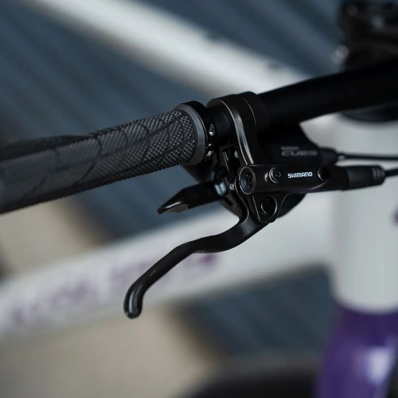 Bicicletta gravel KROSS Esker 1.0 FL grey/purple/gloss 16