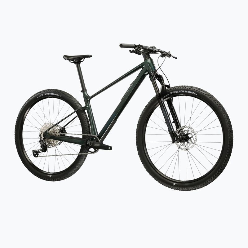 Bicicletta da montagna KROSS Level RS 1.0 green/chameleon/gloss 2