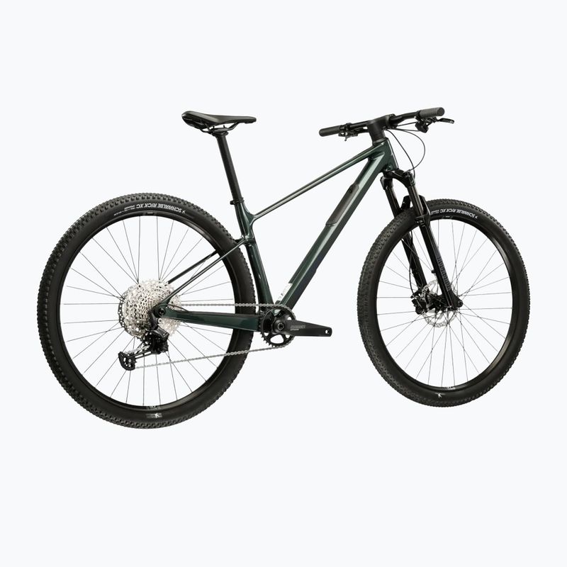 Bicicletta da montagna KROSS Level RS 1.0 green/chameleon/gloss 3