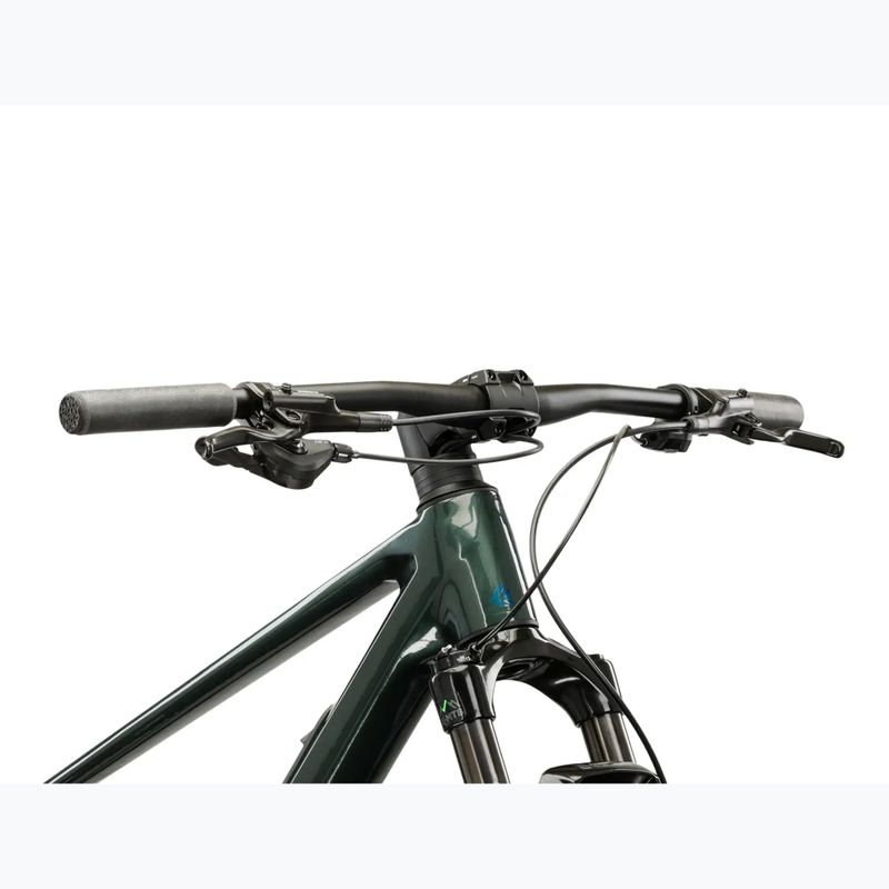 Bicicletta da montagna KROSS Level RS 1.0 green/chameleon/gloss 4