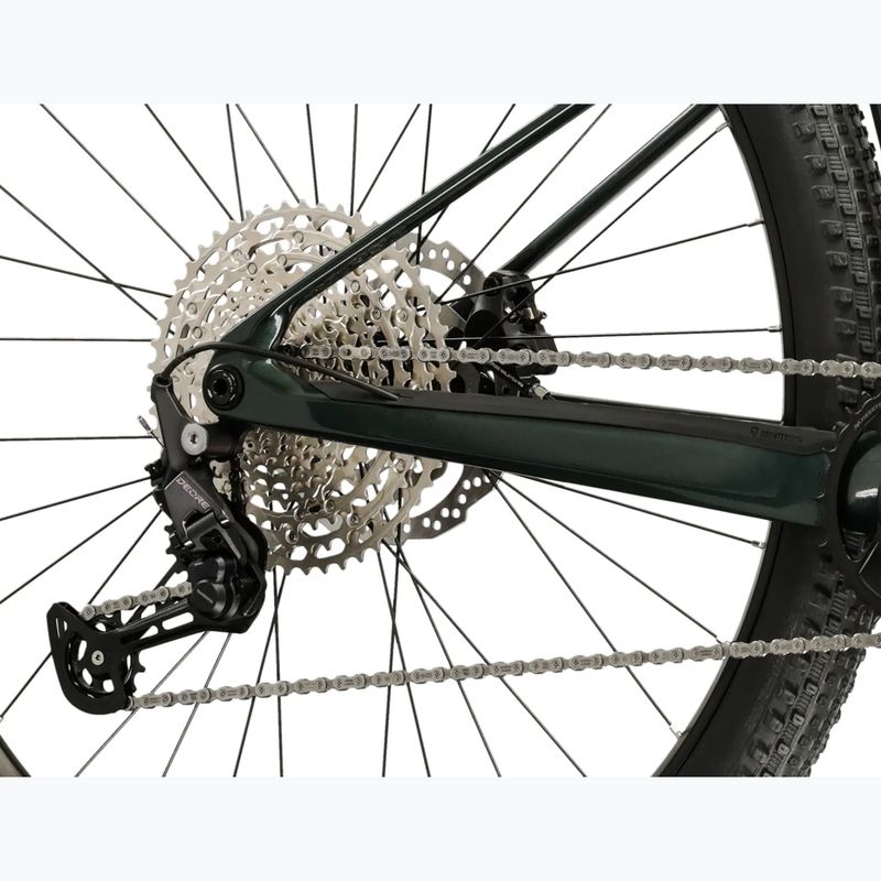 Bicicletta da montagna KROSS Level RS 1.0 green/chameleon/gloss 7