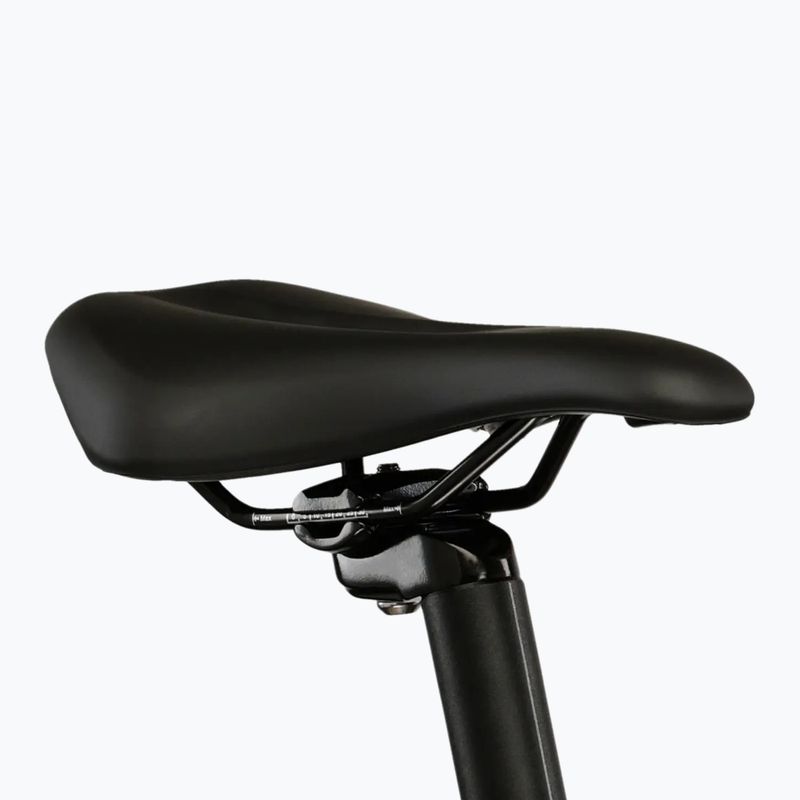 Bicicletta da montagna da donna KROSS Lea X200 W 29 silver/silver/matte 9