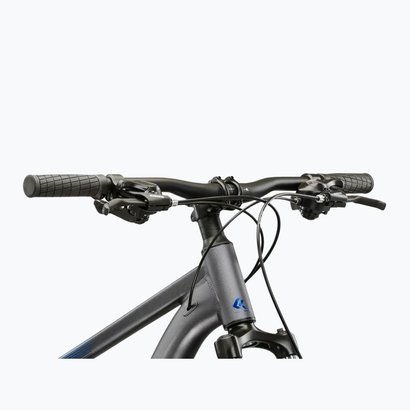 Bicicletta da montagna KROSS Hexagon X200 29" grey/blue/matte 4