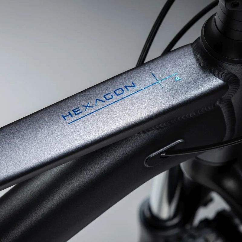 Bicicletta da montagna KROSS Hexagon X200 29" grey/blue/matte 14